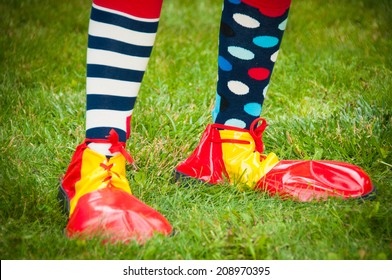 Closeup of bright clown shoes on grass background