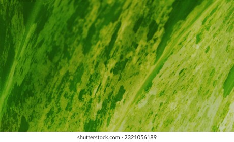 Close-up of broad-shaped leaf texture