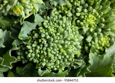 Closeup Of Broccoli Rabe Greens