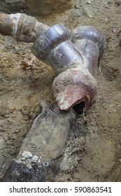 Closeup Of Broken Old Terracotta Ceramic Sewer Pipe Line Showing Pipe Completely Filled With Tree Roots.