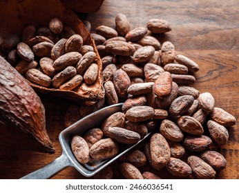 Close-up of brown cocoa beans and dry cacao pod  on a vintage wooden table.top view