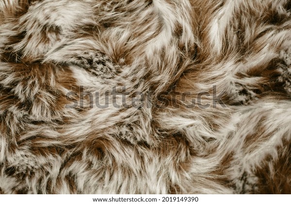 Closeup of brown white Fur Texture. Smooth\
Fluffy and Softness\
Background