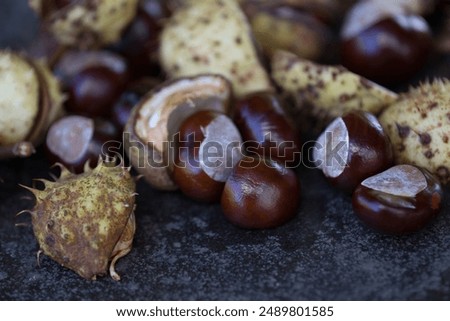 A closeup of a bunch of chestnuts with cracked shells on the blurred background