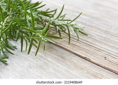 Closeup of a bunch of fresh aromatic green rosemary herb on old wood background with copy space                    