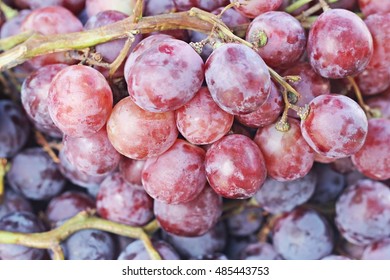 Close-up of bunches of grapes