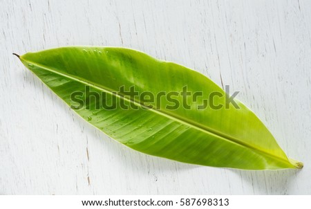 Closeup of a bundle of bananas leaft