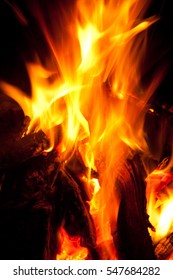 Closeup of burning red fire wood on black background - Shutterstock ID 547684282