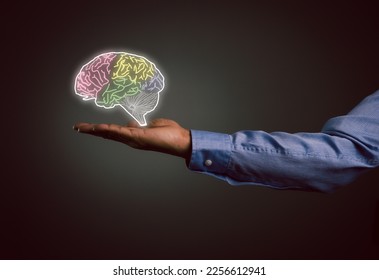 Close-up of businessman's hand holding brain in palm, Virtual reality man with symbol neurons in the brain. Concept of idea and innovation, business concept. - Shutterstock ID 2256612941