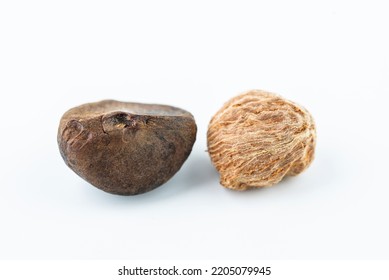 Close-up Of Camellia Seed Pulp, Raw Material Of Camellia Oil