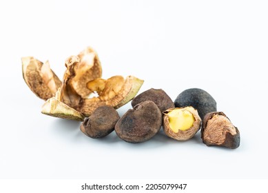 Close-up Of Camellia Seed Pulp, Raw Material Of Camellia Oil