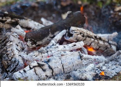 closeup campfire, fire and ashes