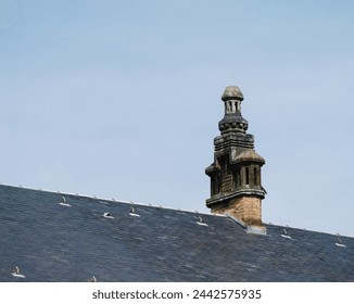 A close-up captures the intricate details of a stone chimney atop a rooftop in Haguenau, Alsace, exemplifying the area's traditional architectural style against a backdrop of clear sky.