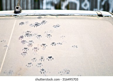 Close-up Of Car Dust With Dog Footprints On A Dirty Glass Window, Front View.