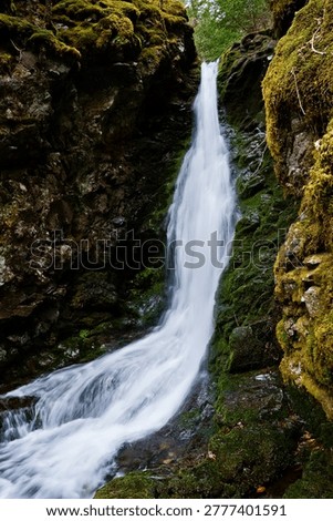 Closeup of cascade of Dickson Falls, the most popular waterfall located within Fundy National Park in New Brunswick, Canada. 
The falls cascade approximately 9 metres (30 feet) over mossy rocks. 