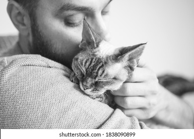 Close-up of cat and man. Black and white portrait of a Devon Rex kitten and young beard guy. Handsome animal-lover man is hugging and cuddling his little cat. Cat enjoys human company. - Powered by Shutterstock