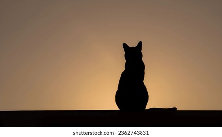 A close-up of a cat silhouette  - Shutterstock ID 2362743831