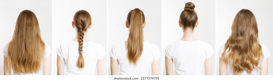 Closeup Caucasian hair type different hairstyles ponytail, bun, braid back view isolated on white background. Braid, ponytail. Straight long light brown blonde healthy clean hairstyle. Shampoo concept
