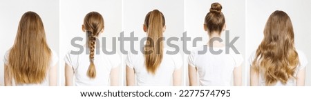 Closeup Caucasian hair type different hairstyles ponytail, bun, braid back view isolated on white background. Braid, ponytail. Straight long light brown blonde healthy clean hairstyle. Shampoo concept