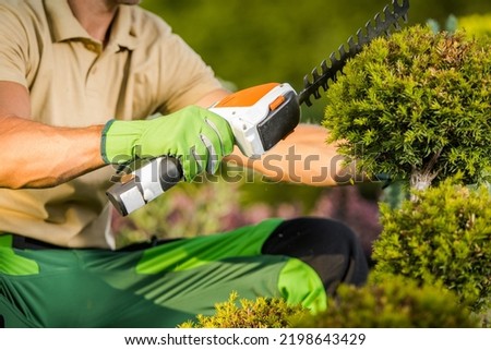 Closeup of Caucasian Landscaper Shaping Ornamental Tree in the Garden Using Small Hand Held Hedge Trimmer. Gardening and Landscaping Professional Equipment.