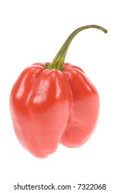 close-up of a cayenne pepper from suriname isolated on a white background
