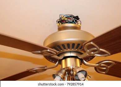 Ceiling Fan Install Stock Photos Images Photography