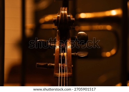 Close-up of cello or double bass scroll and tuning pegs. Blurred brass instrument in background.