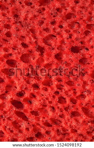 close-up cellular red sponge texture
