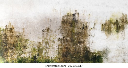 Closeup cement wall with moss - Shutterstock ID 2176350617