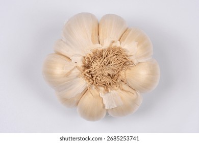 A close-up, centered, overhead studio shot displays the fibrous base of a garlic bulb with unpeeled cloves arranged circularly on a white background