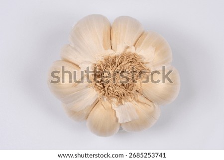 A close-up, centered, overhead studio shot displays the fibrous base of a garlic bulb with unpeeled cloves arranged circularly on a white background