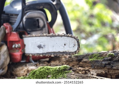 Close-up of a chainsaw on a tree stump in a garden, symbolizing woodworking tools and safety for outdoor landscaping tasks. - Powered by Shutterstock