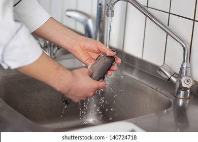 Closeup Of Chef's Hands Washing Fish At Commercial Kitchen Sink