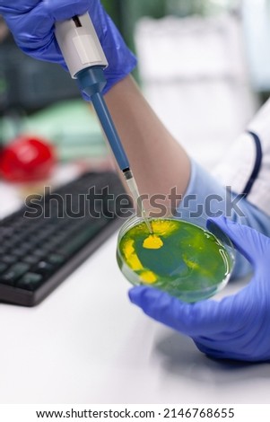 Closeup of chemist scientist dropping liquid in petri dish with fungi colony using medical micropippete analyzing cell culture. Microbiologist researcher working in pharmacology hospital laboratory