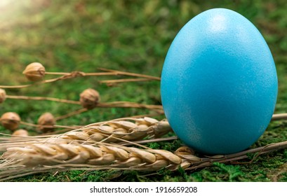 Close-up of a chicken egg painted blue on green grass on a sunny spring day. Free space. The concept of a bright Easter day