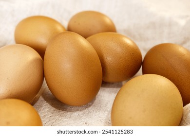 Close-up chicken eggs on beige fabric background. A group of egg with blurred background. Daily food, organic ingredient, protein, cozy, and eating healthy concepts. Brown eggs with rustic style. - Powered by Shutterstock