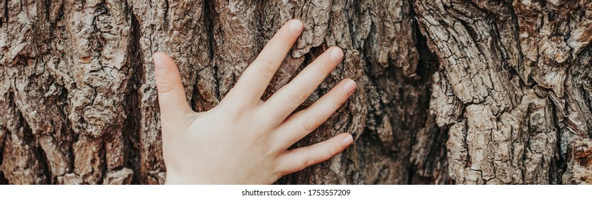 Closeup Of Child Hand Touching Old Tree. World Earth Day. Save The Planet Nature Environment Concept. Connection With Mother Nature. Banner Header For Website.