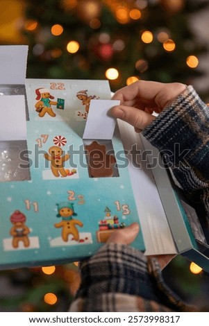 Close-up of a child opening the window of an Advent calendar with a chocolate, Christmas tree with garland of lights in the background.