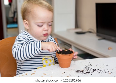 Closeup Of Child Planting Seeds Into Small Pots.