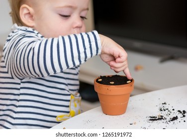 Closeup Child Planting Seeds Into Small Stock Photo 1265191972 ...