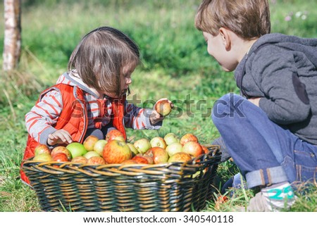 Similar – Image, Stock Photo Little girl looking apples in basket with harvest