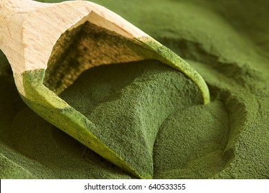 Closeup Of Chlorella Algae Powder With Wooden Scoop