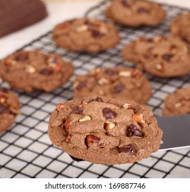 Closeup Of A Chocolate Chip And Pecan Cookie On A Spatula With Cookies On A Cooling Rack In Background