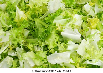 Closeup Of Chopped Escarole Endive