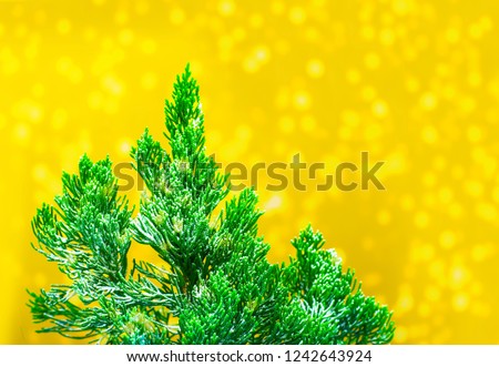 Closeup Christmas tree background