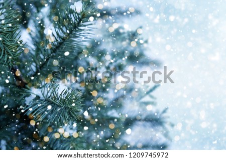 Closeup of Christmas tree with light, snow flake. Christmas and New Year holiday background. vintage color tone.