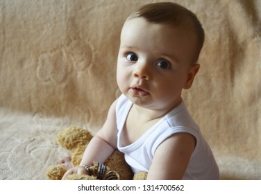 Closeup Chubby Little Baby Girl Playing With Her Favourite Teddy Bear