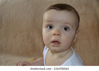 Closeup Chubby Little Baby Girl Playing With Her Favourite Teddy Bear