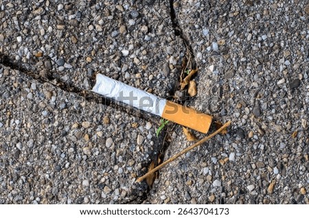 Close-up of a cigarette butt lying on pavement in Germany outdoors