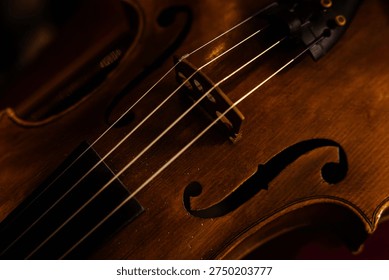 Close-up of Classical Violin Strings and Tailpiece with Warm Ambient Lighting
