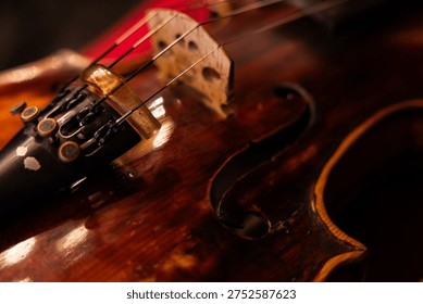 Close-up of Classical Violin Strings and Tailpiece with Warm Ambient Lighting
